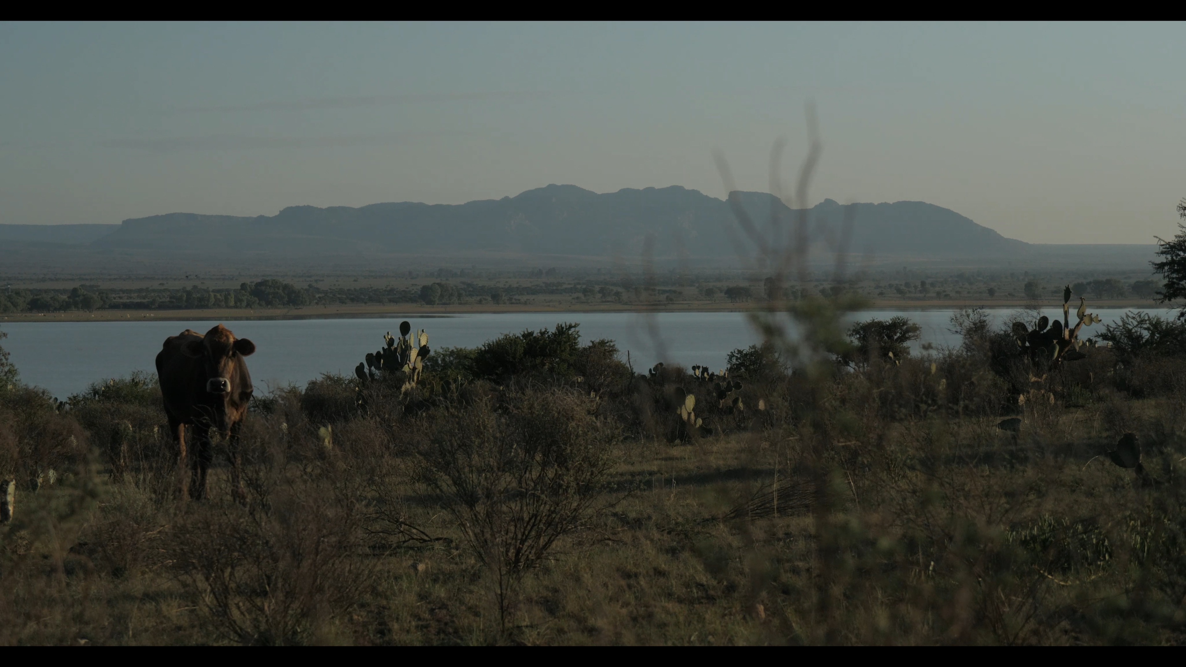 A Flote Film Still 3
